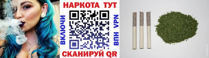 APVP Бежецк