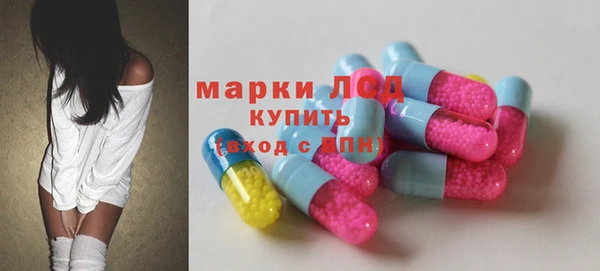 прущие грибы Алексин