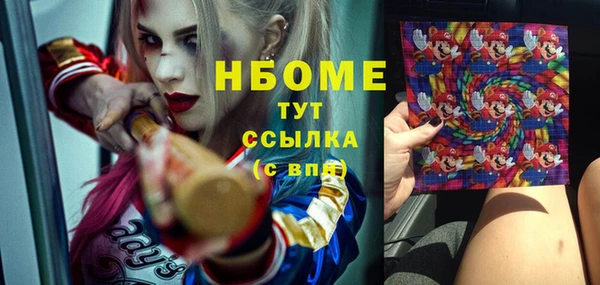 прущие грибы Алексин